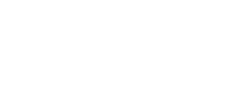 PrimaLuna Energy, volver al inicio